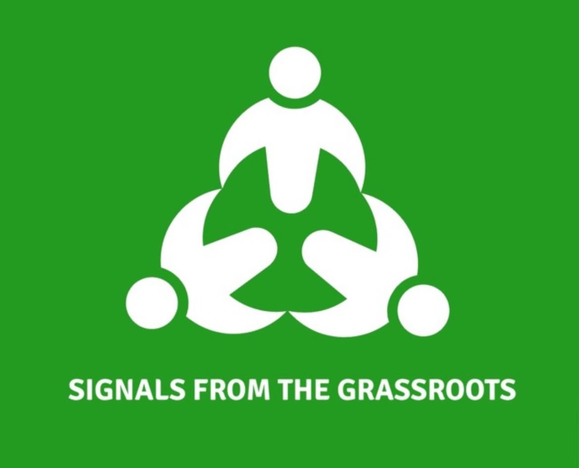 Signals from the Grassroots